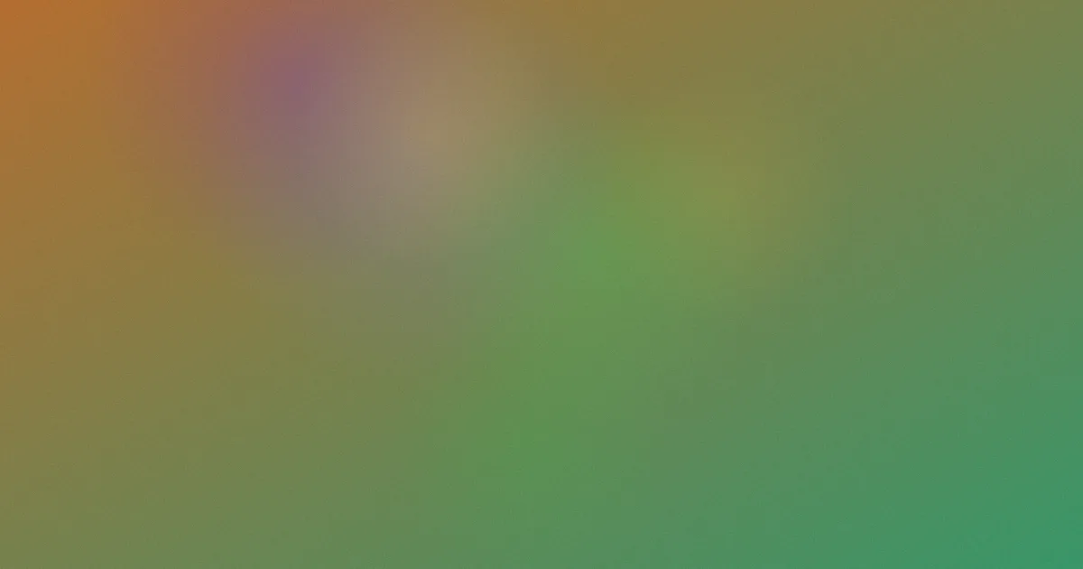 御品熊风好不好看？老观众聊聊它的真实体验